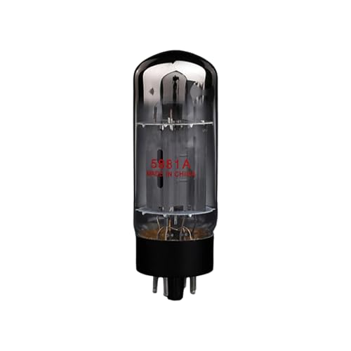 Amazon | プロフェッショナル 5881A 電子管と 6L6GC の互換性 HiFi